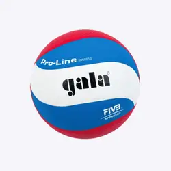 The 6 Best Volleyballs In 2025 (Professional Opinion / Tested) 3 Gala Pro Line1