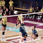 What Are the 6 Skills in Volleyball? +2 Extra skills - Your Go-To Volleyball Resource